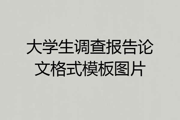 大学生调查报告论文格式模板图片