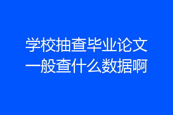 学校抽查毕业论文一般查什么数据啊