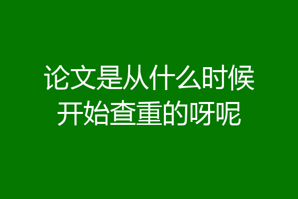 论文是从什么时候开始查重的呀呢