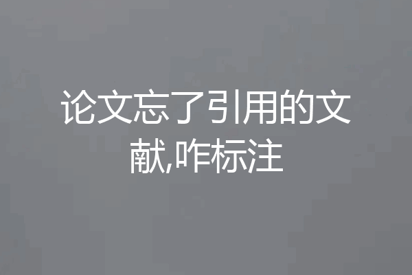 论文忘了引用的文献,咋标注