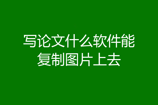 写论文什么软件能复制图片上去