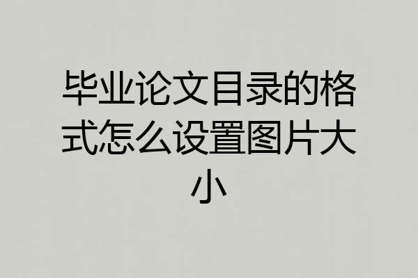毕业论文目录的格式怎么设置图片大小