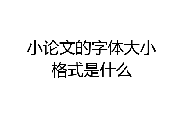 小论文的字体大小格式是什么