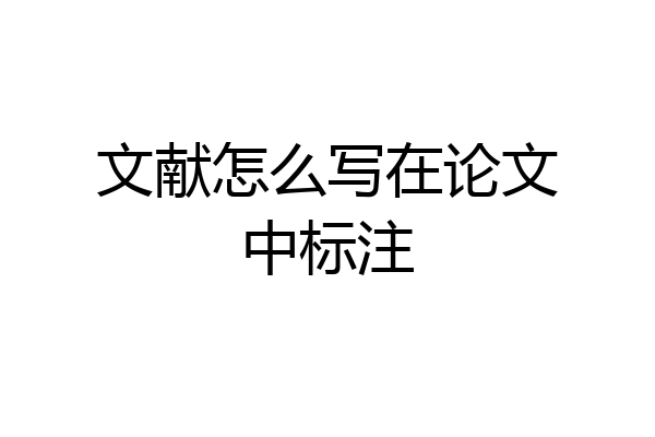文献怎么写在论文中标注