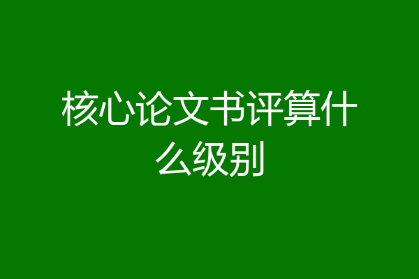 核心论文书评算什么级别