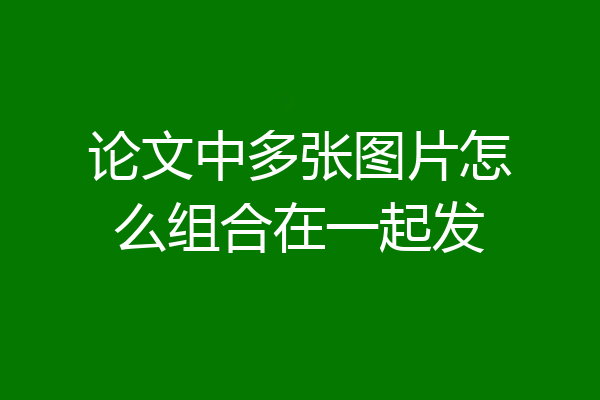 论文中多张图片怎么组合在一起发