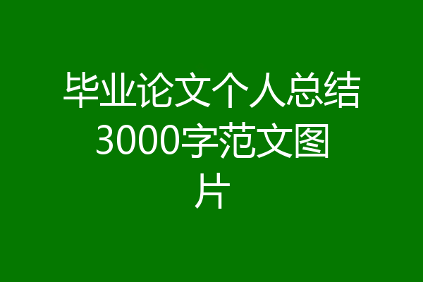 毕业论文个人总结3000字范文图片