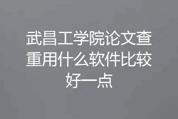 武昌工学院论文查重用什么软件比较好一点