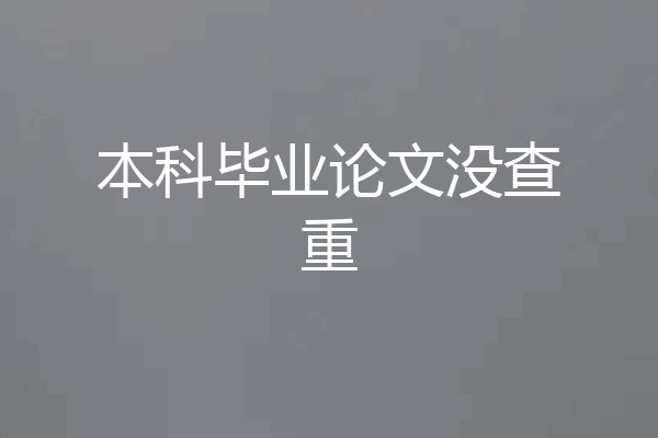 本科毕业论文没查重