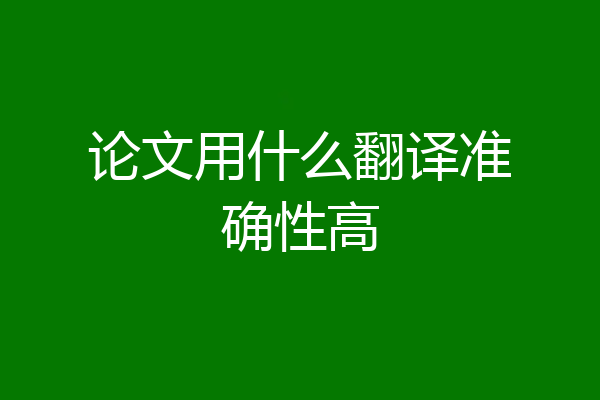 论文用什么翻译准确性高