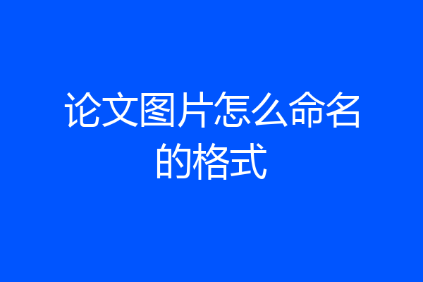 论文图片怎么命名的格式
