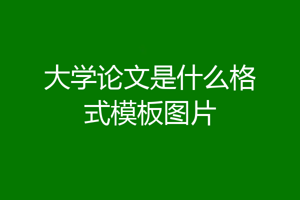 大学论文是什么格式模板图片