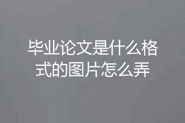 毕业论文是什么格式的图片怎么弄