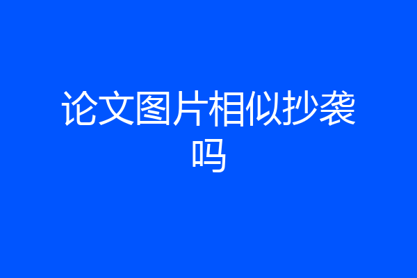 论文图片相似抄袭吗