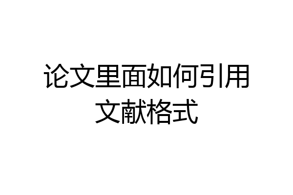 论文里面如何引用文献格式