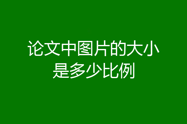 论文中图片的大小是多少比例