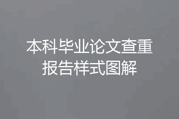 本科毕业论文查重报告样式图解