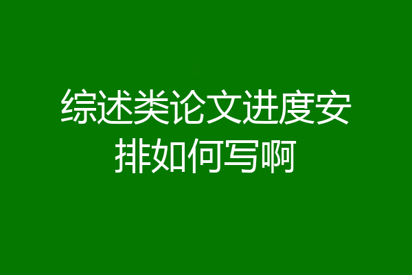 综述类论文进度安排如何写啊