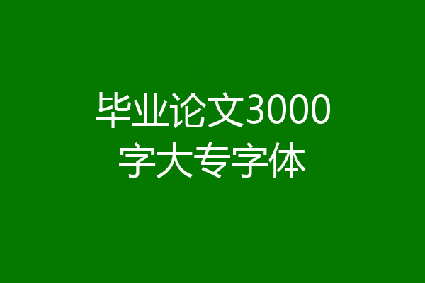 毕业论文3000字大专字体