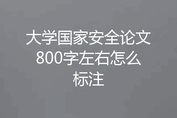 大学国家安全论文800字左右怎么标注