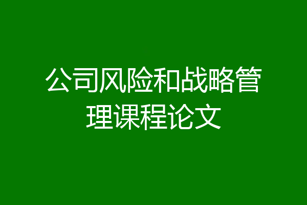 公司风险和战略管理课程论文