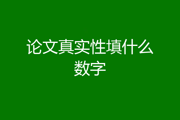 论文真实性填什么数字