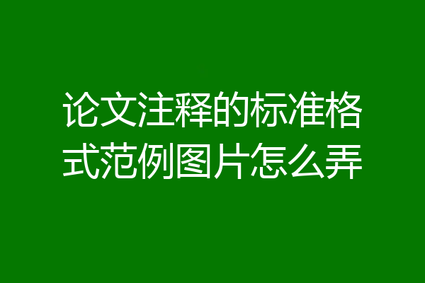论文注释的标准格式范例图片怎么弄