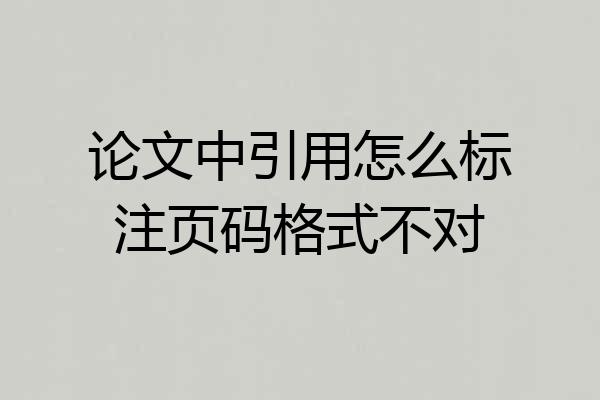 论文中引用怎么标注页码格式不对