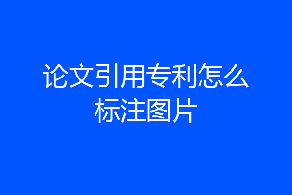 论文引用专利怎么标注图片
