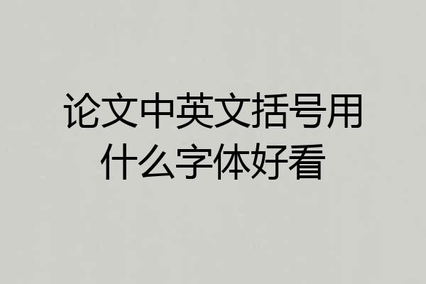 论文中英文括号用什么字体好看