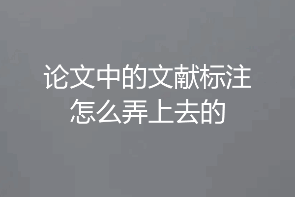 论文中的文献标注怎么弄上去的