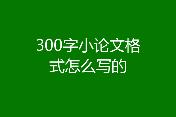 300字小论文格式怎么写的