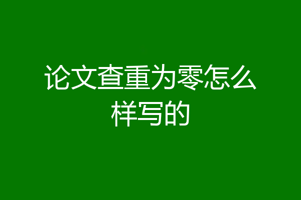 论文查重为零怎么样写的