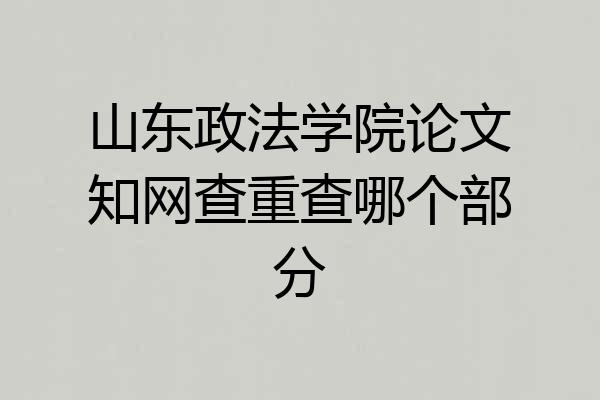 山东政法学院论文知网查重查哪个部分