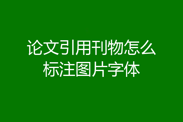 论文引用刊物怎么标注图片字体