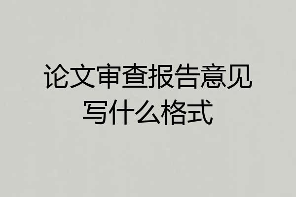 论文审查报告意见写什么格式