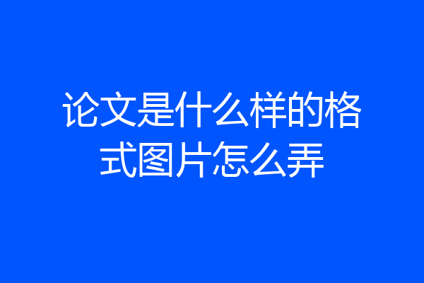 论文是什么样的格式图片怎么弄