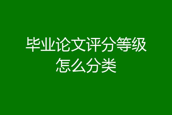 毕业论文评分等级怎么分类