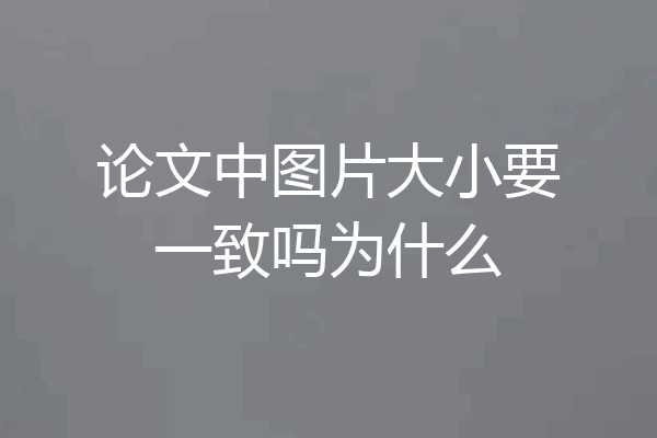 论文中图片大小要一致吗为什么