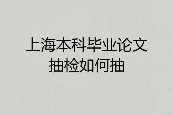 上海本科毕业论文抽检如何抽