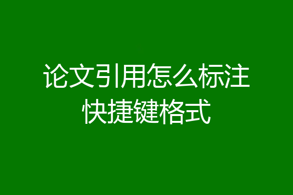 论文引用怎么标注快捷键格式