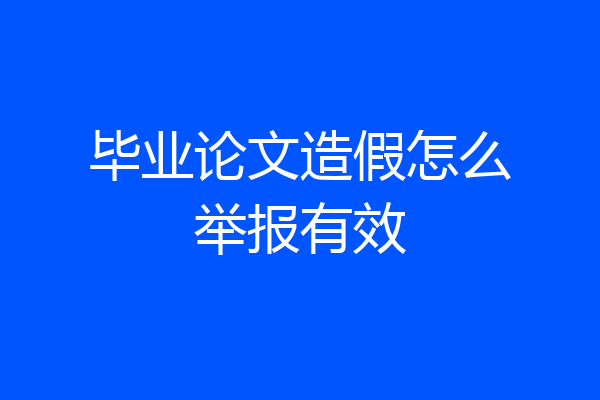 毕业论文造假怎么举报有效