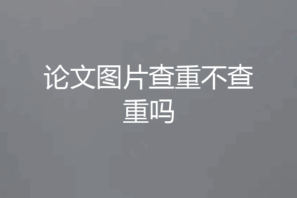 论文图片查重不查重吗
