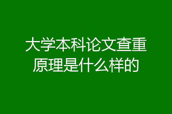 大学本科论文查重原理是什么样的