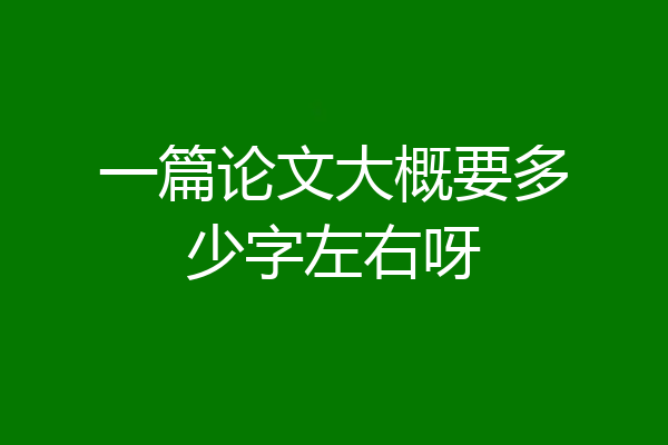 一篇论文大概要多少字左右呀