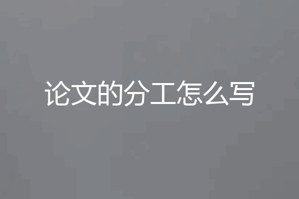 论文的分工怎么写