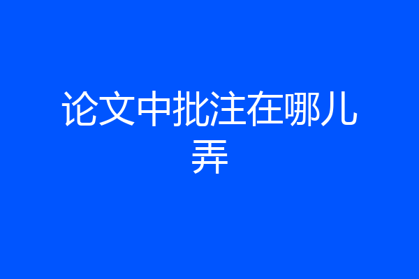 论文中批注在哪儿弄