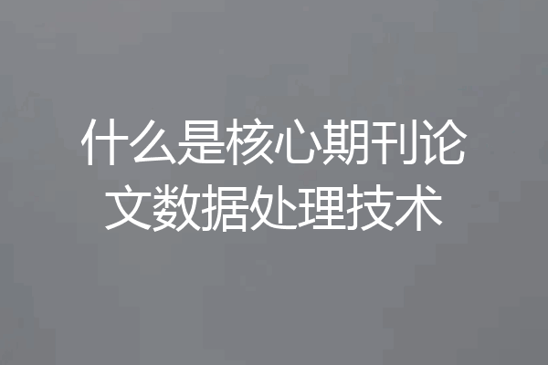 什么是核心期刊论文数据处理技术