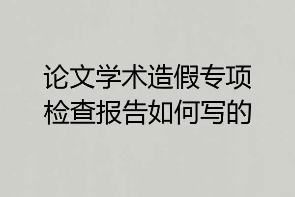 论文学术造假专项检查报告如何写的