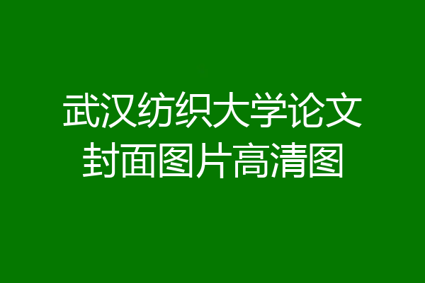 武汉纺织大学论文封面图片高清图